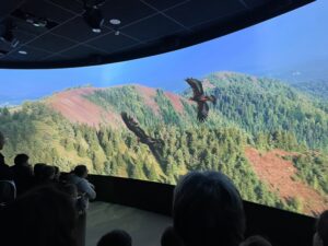 Voyage immersif sur grand écran